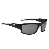 Alpina Gafas de sol Testido S3 (negro / blanco)